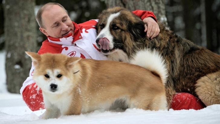Putin a refuzat să primească câinele oferit cadou de guvernul Japoniei
