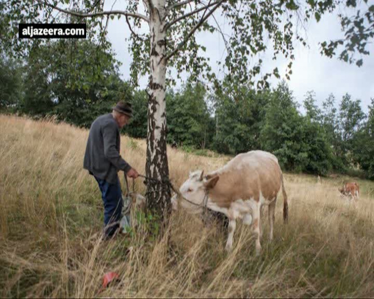 "România promisiunilor încălcate". Reportaj Al Jazeera despre sărăcia din zonele rurale