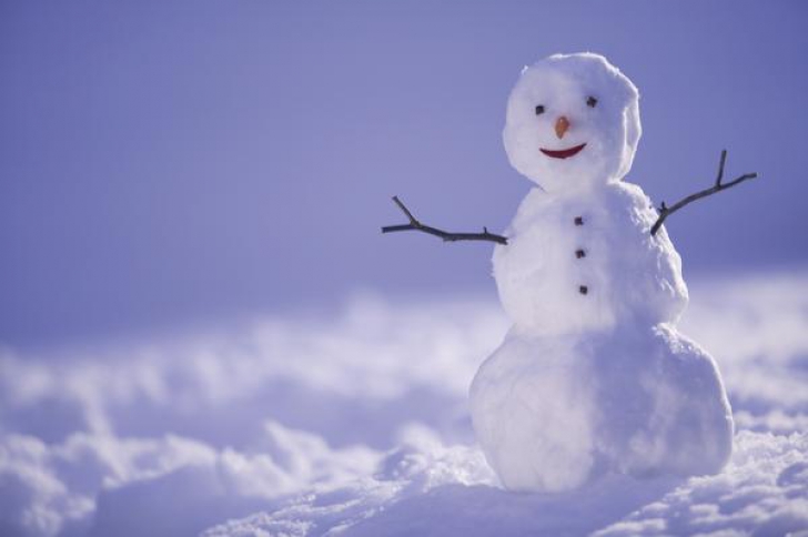 Acesta este cel mai mic om de zăpadă! Poate fi văzut doar la microscop