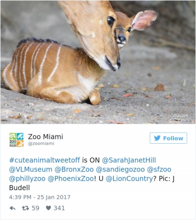 Surpriza de weekend! Cele mai drăguţe 20 de imagini cu animale surprinse la Grădina Zoologică