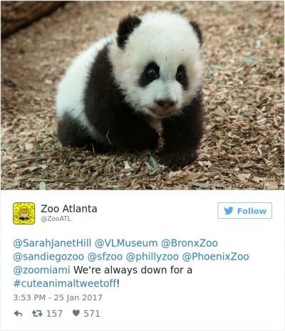 Surpriza de weekend! Cele mai drăguţe 20 de imagini cu animale surprinse la Grădina Zoologică