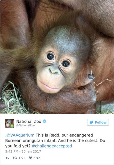 Surpriza de weekend! Cele mai drăguţe 20 de imagini cu animale surprinse la Grădina Zoologică