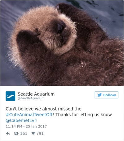 Surpriza de weekend! Cele mai drăguţe 20 de imagini cu animale surprinse la Grădina Zoologică