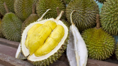 Adevărul despre fructul durian. Deşi miroase foarte urât, acesta are...
