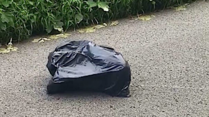 A găsit un sac de gunoi negru pe marginea drumului. Ceva mişca în interior. L-a desfăcut şi ŞOC!