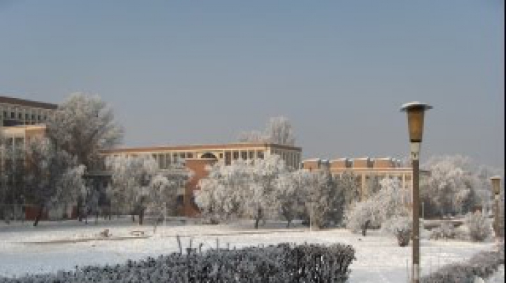 Cursurile mai multor facultăţi din Bucureşti, suspendate luni şi marţi 