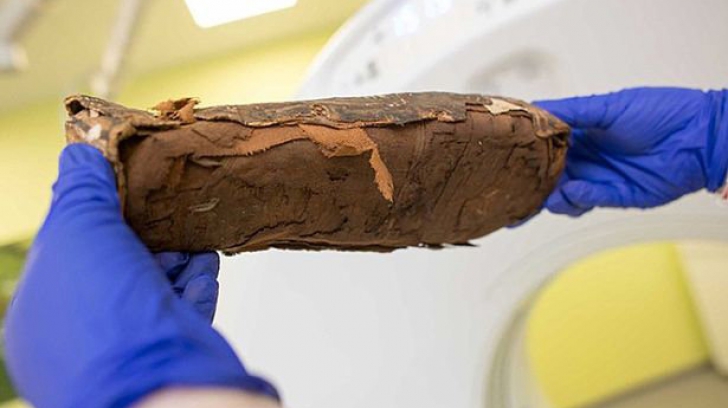 Sicriu Egiptul Antic