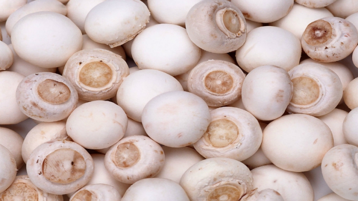 Adevărul despre ciupercile Champignon din supermarketurile de la noi. Le consumi fără să ştii asta!