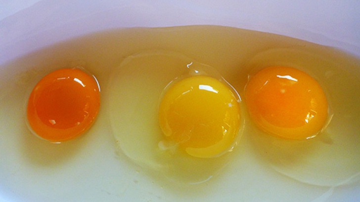 Poţi să ghiceşti care dintre gălbenuşuri provine de la o găină hrănită sănătos?