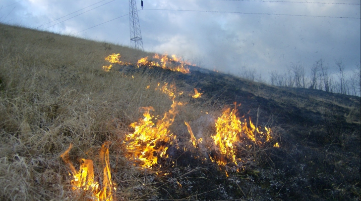  Şapte incendii de vegetație au afectat nouă proprietăți în Argeş 