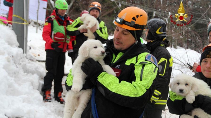 MIRACOL în Italia. Ce au găsit salvatorii, printre ruinele hotelului acoperit de zăpadă acum 5 zile