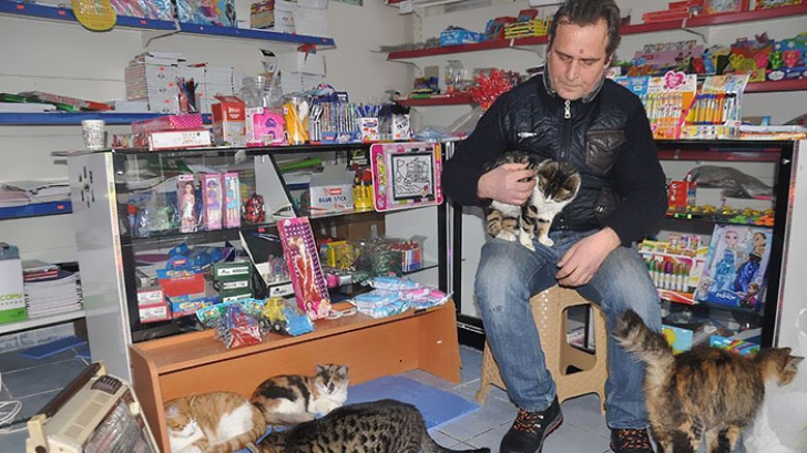Gest impresionat făcut de patronii unor magazine din Istanbul pentru animalele fără stăpân 
