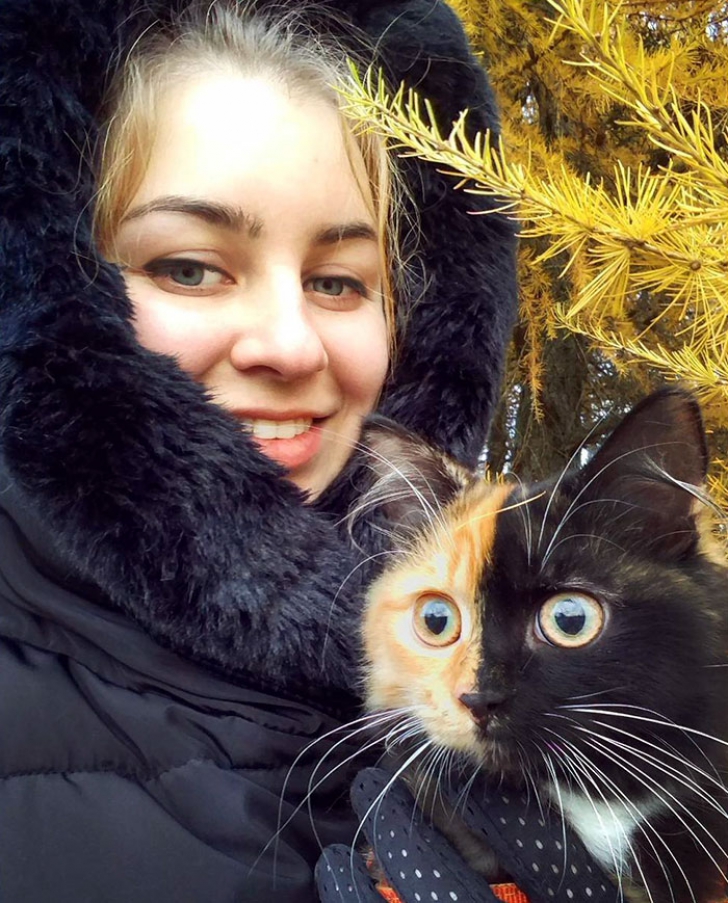 Faceţi cunoştinţă cu Yana, pisicuţa cu "două feţe" care face senzaţie pe internet 
