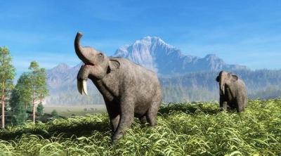 10 animale preistorice ÎNGROZITOARE.Oamenii de ştiinţă, bucuroşi că n-am fost nevoiţi să le întâlnim