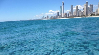 Fenomen bizar pe coastele Australiei. Incredibil ce a descoperit această femeie pe plajă!