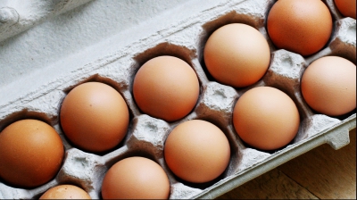 De ce nu se țin în frigider ouăle, în majoritatea țărilor din Europa
