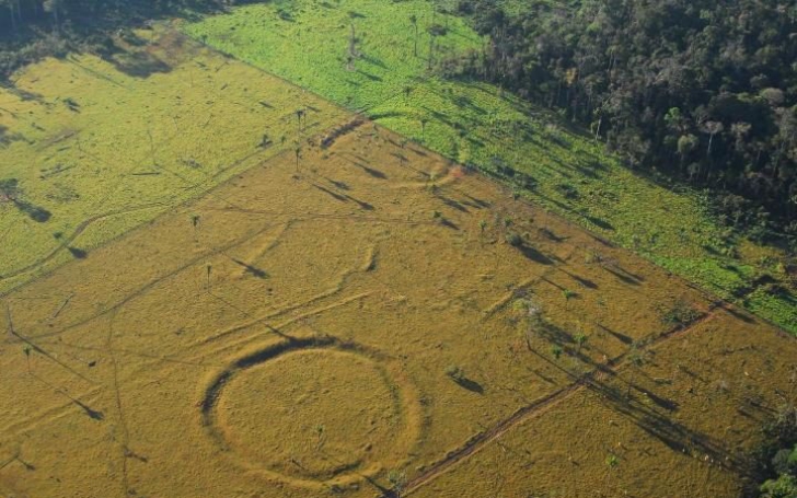 Dronele au descoperit asta, zburând deasupra pădurii amazoniene: asemănări şocante cu Stonehenge