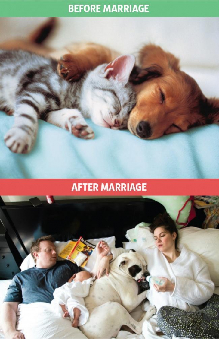 Cum se schimbă viaţa după căsătorie. Cele mai amuzante poze cu modificările prin care trecem