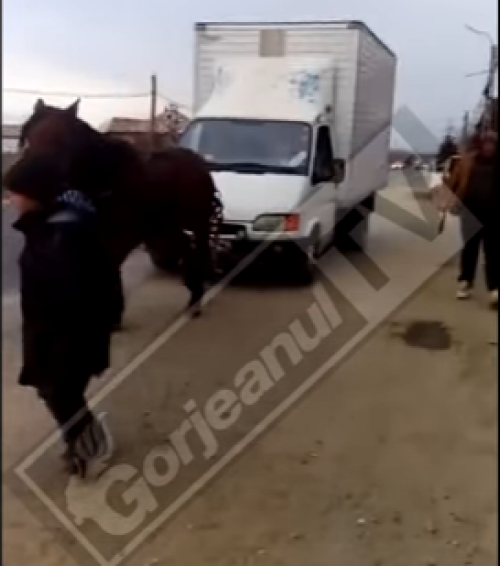 IMAGINI ȘOCANTE! Cal biciuit ca să tragă o mașină de marfă(VIDEO)