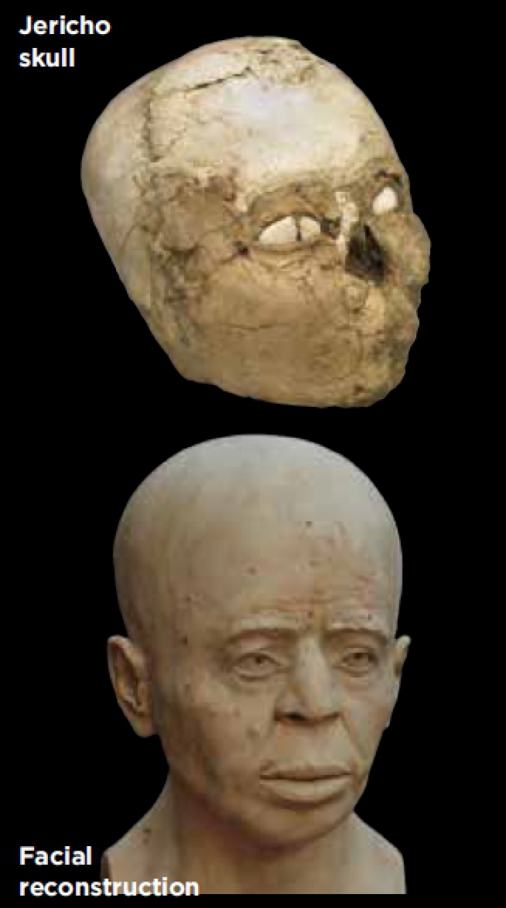 Cum arătau oamenii acum 9500 de ani. Oamenii de ştiinţă au reconstruit un craniu
