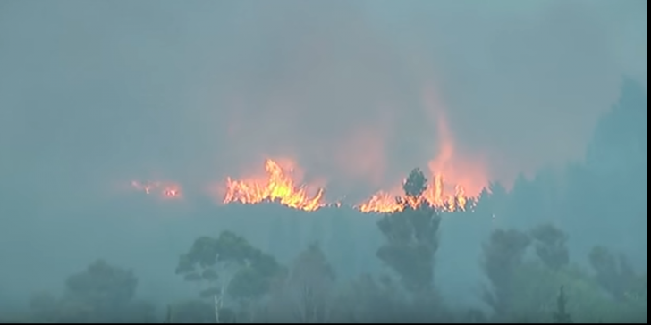 Sute de locuinţe au fost evacuate la Christchurch, din cauza unui incendiu de vegetaţie(VIDEO)