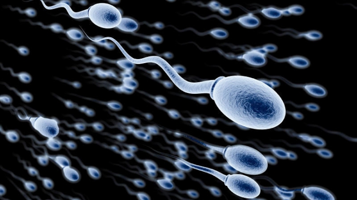 Beneficiile spermei asupra sănătăţii femeilor! Nimeni nu ştia asta