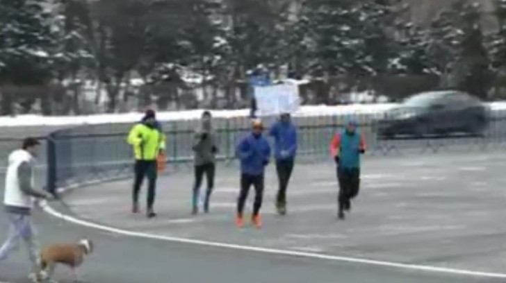 Maraton la Guvern