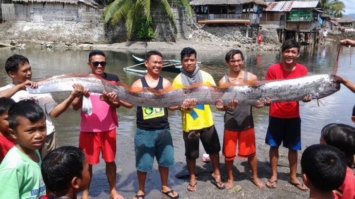 Un alt monstru marin a apărut pe plaja din Filipine după cutremur