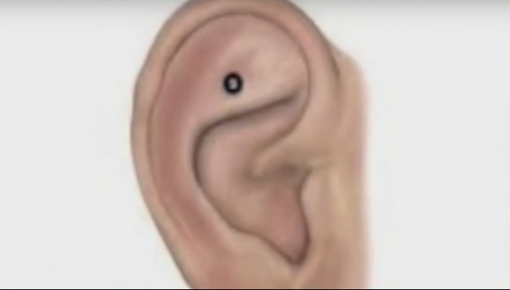 Ce se întâmplă dacă ţii apăsat acest punct al urechii, timp de 1 minut 