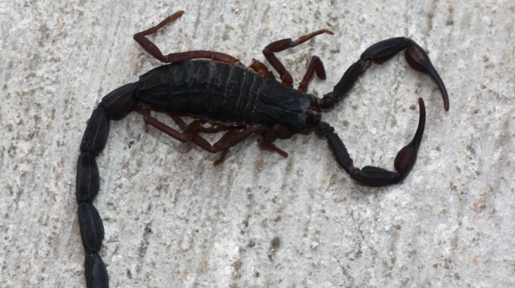 A găsit o cutie în faţa uşii deşi nu comandase nimic. Nici prin gând nu îi trecea ce este înăuntru