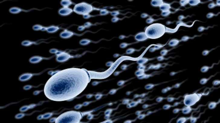 Primul contraceptiv masculin e pe cale să fie lansat