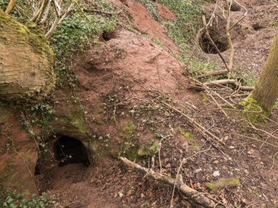 A găsit o gaură de iepure, dar nu era ce credea. A săpat, a descoperit o peşteră din 1119