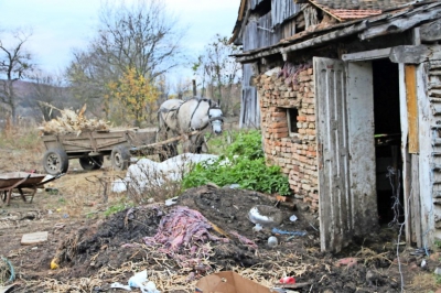 Oras suedez cotropeit de cersetori români