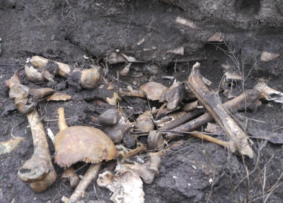 Rămăşite ale unor copii mici găsite într-o fostă casă pentru femei necăsătorite din Irlanda 