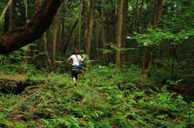 Cea mai terifiantă pădure din lume ascunde un SECRET ORIBIL! Autorităţile nu mai fac faţă! Copacii..