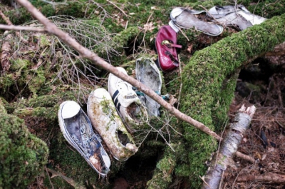 Cea mai terifiantă pădure din lume ascunde un SECRET ORIBIL! Autorităţile nu mai fac faţă! Copacii..