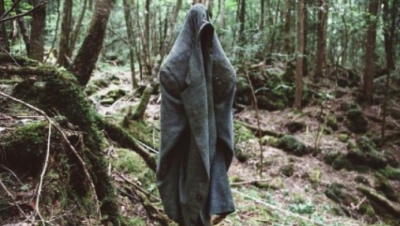 Cea mai terifiantă pădure din lume ascunde un SECRET ORIBIL! Autorităţile nu mai fac faţă! Copacii..