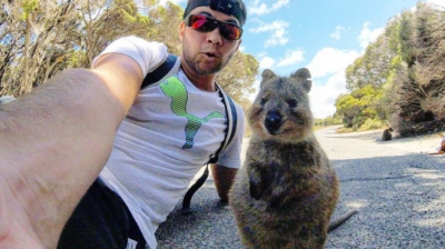 Vezi cum arată cel mai fericit marsupial. Viețuitoarea a devenit star pe rețelele de socializare