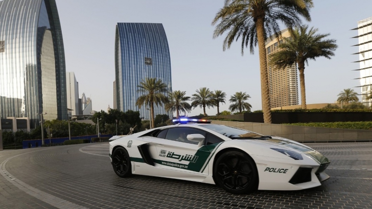 Politia din Dubai