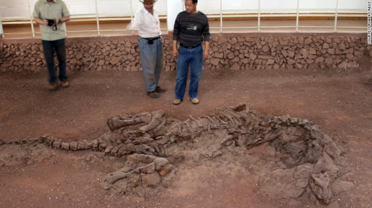 Au găsit rămăşiţele unui DINOZAUR îngropat în urmă cu 195 de milioane de ani. ŞOC ce au aflat