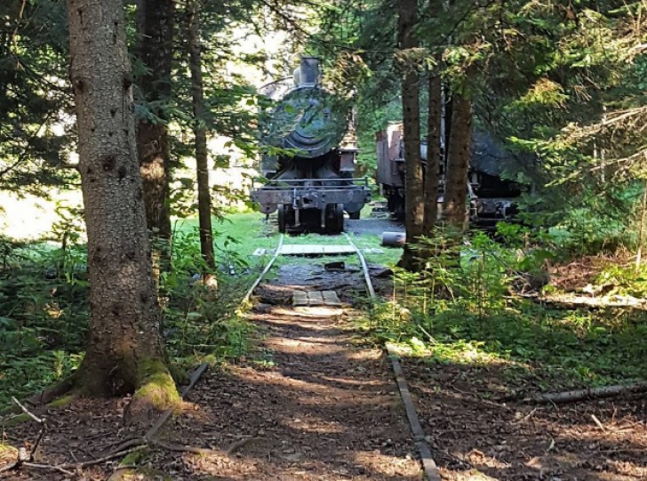Au văzut în pădure o locomotivă veche de 100 ani. Au urcat în cabină.Ce au găsit i-a făcut să PLÂNGĂ