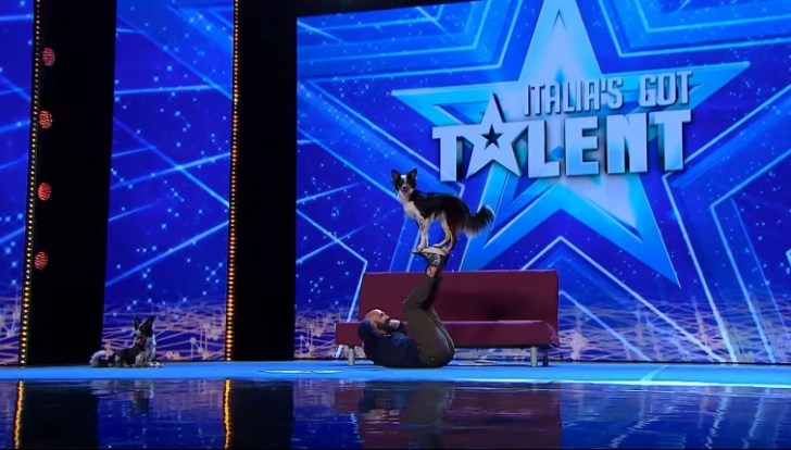 Un român a făcut SENZAŢIE la "Italia's Got Talent". Momentul cu CÂINII săi, viral pe internet