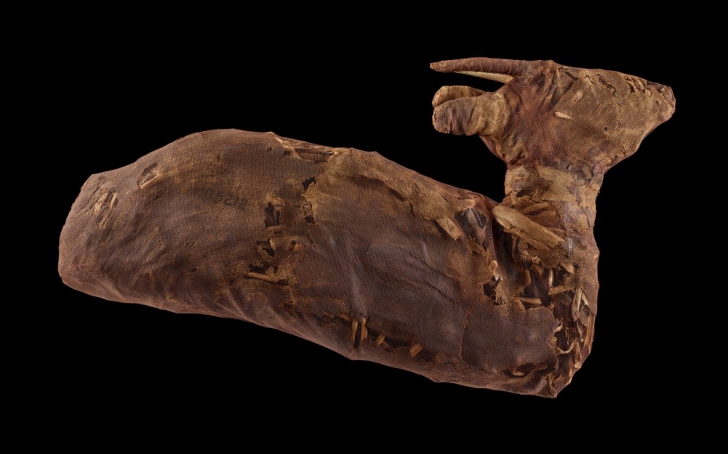 Ce se află, de fapt, în interiorul mumiilor? Experţii au făcut publice imaginile şocante