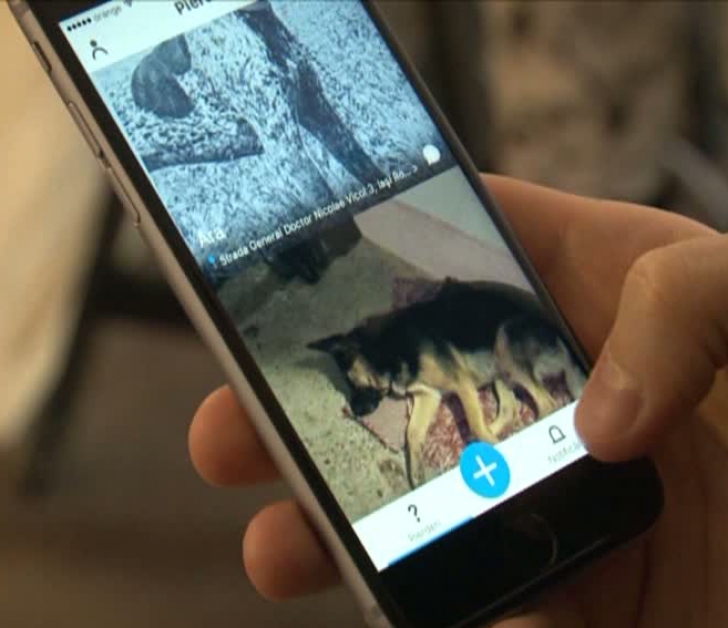 Trei tineri au lansat o aplicaţie mobilă pentru găsirea persoanelor și a animalelor dispărute