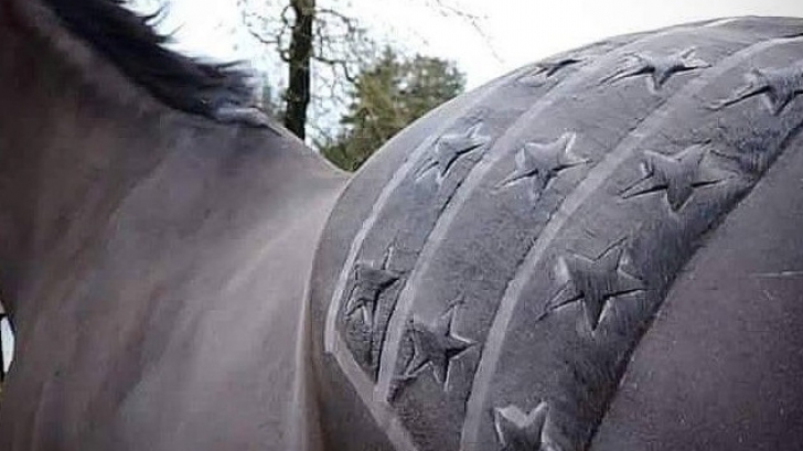 Cele mai trendy tunsori pentru cai! O nouă modă face furori în Scoția