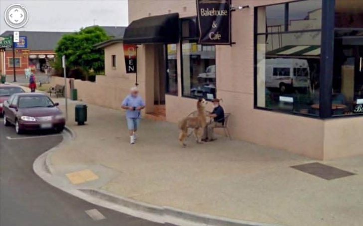 Cele mai ciudate poze suprinse pe Google Maps. În ce lume trăim?