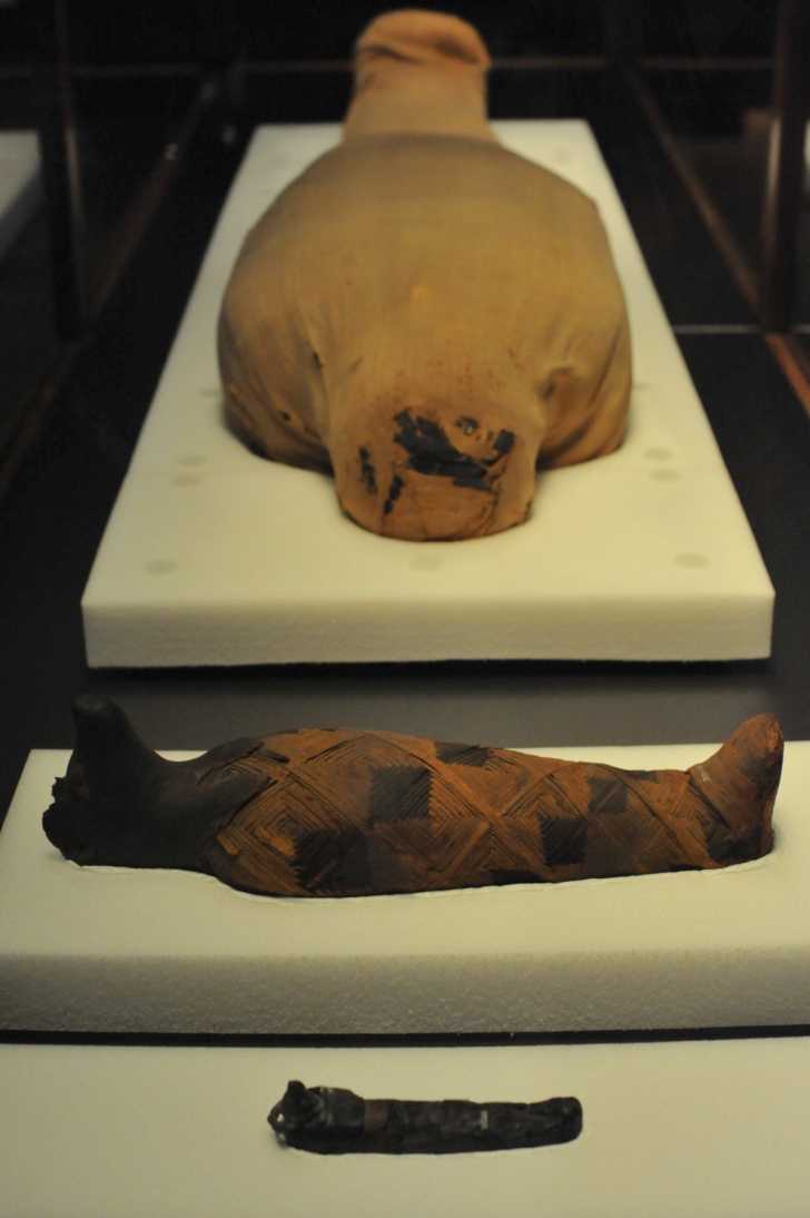 Ce se află, de fapt, în interiorul mumiilor? Experţii au făcut publice imaginile şocante