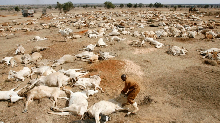 O secetă cumplită amenință estul Africii. Efectele ei sunt dezastruoase