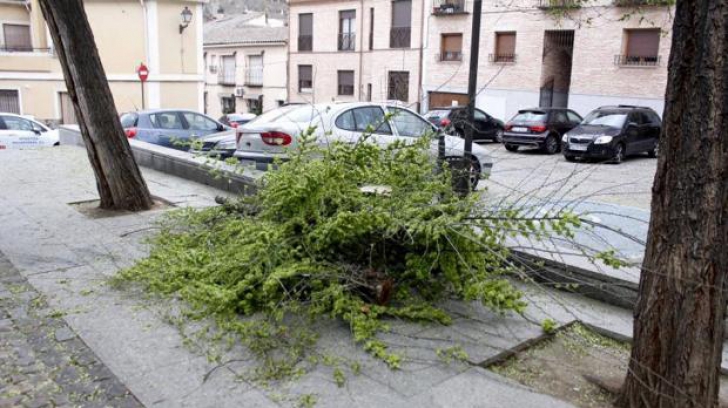 Un copac a căzut peste fetița româncă