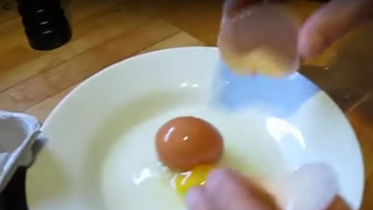 Au găsit în cuibar un ou uriaș și l-au spart imediat. ULUITOR: ce se afla în el
